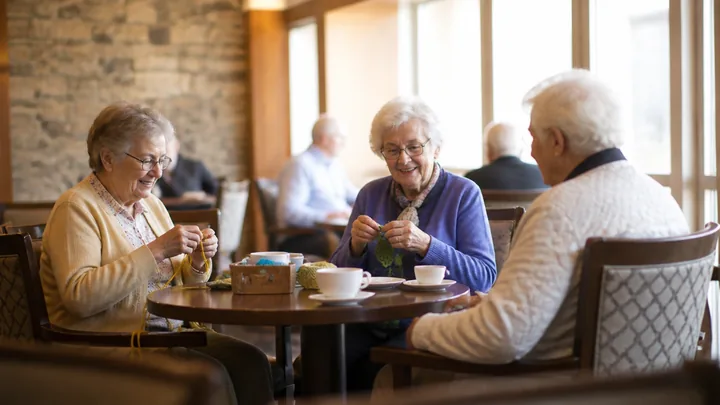 Two women and a man knitting together at a cafe table